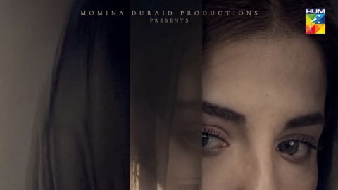 A promotional poster for the Pakistani television drama series titled "Hurmat," presented by Momina Duraid Productions. The poster features a dramatic composition centered around actress Dananeer Mobeen. On the right side, a large, dramatic close-up portrait of Dananeer Mobeen fills the frame; her expression is somber and contemplative as she looks off slightly to the left, wearing a dark headscarf. In the narrow, lighter center vertical strip of the poster, she is pictured again, this time shown full-length, sitting gracefully on an ornate wooden chair inside a softly lit, classic-looking room. She wears a traditional beige and brown salwar kameez with a matching dupatta draped around her neck and a brown blazer over it. The background on the left consists of dark, draped fabric with her name, "DANANEER MOBEEN," written in a clean white serif font. At the bottom left, the bold, stylized title "HURMAT" stands out in a distressed, golden-yellow font, below which "WRITER KASHIF ANWAR" is credited. The bottom right features the air date and time text: "28TH SEPTEMBER MON & TUE | 8:00pm," followed by "DIRECTOR NADEEM SIDDIQUE." The top right corner displays the vibrant multicolored logo of Hum TV.