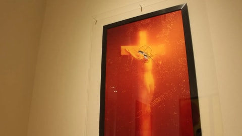 "Piss Christ" (officially titled Immersion (Piss Christ)) is a controversial 1987 photograph by American artist and photographer Andres Serrano. The artwork depicts a small, mass-produced plastic crucifix submerged in a transparent glass tank filled with the artist's own urine. Captured as a 60 by 40-inch Cibachrome print, the image is characterized by its glowing amber-gold light and deep, ethereal red-yellow hues, creating a stark contrast between its visually beautiful presentation and its profane medium.