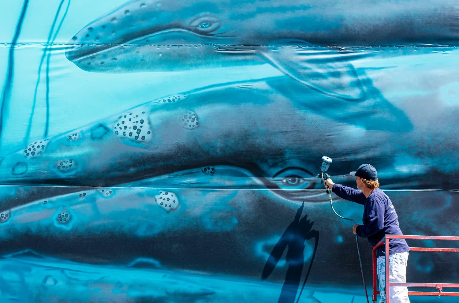 Laguna Beach artist, Wyland, one of the best-known marine-life painters in the country, recreates the first of his 100 whaling walls on a giant canvas adjacent to his gallery in Laguna Beach on Monday, July 15, 2019, 38 years after he first painted the mural on the Hotel Laguna. (Photo by Leonard Ortiz, Orange County Register/SCNG)