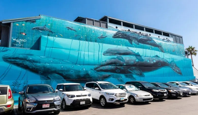 Laguna Beach artist, Wyland, one of the best-known marine-life painters in the country, is recreating the first of his 100 whaling walls on a giant canvas adjacent to his gallery in Laguna Beach on Monday, July 15, 2019, 38 years after he first painted the mural on the Hotel Laguna. (Photo by Leonard Ortiz, Orange County Register/SCNG)